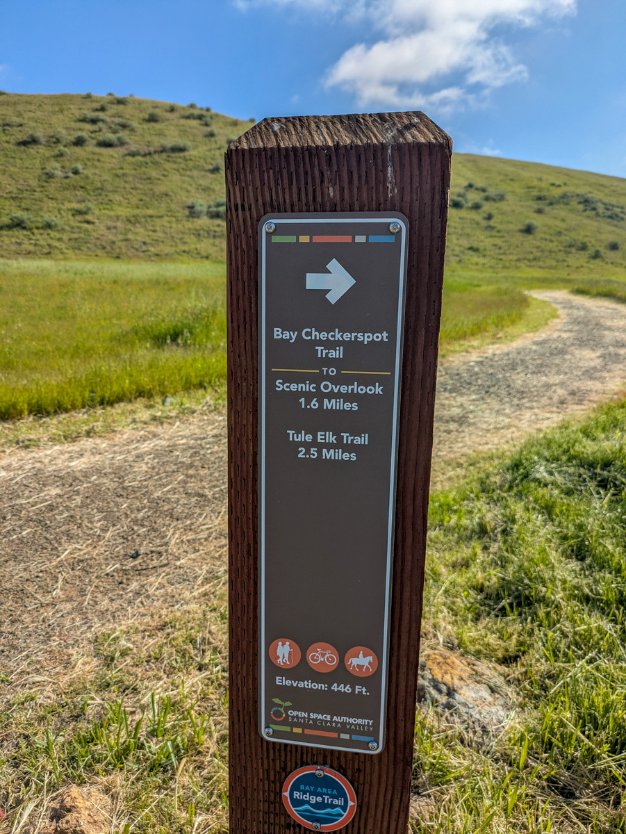 A picture of a trail sign against a sunny grassy background.