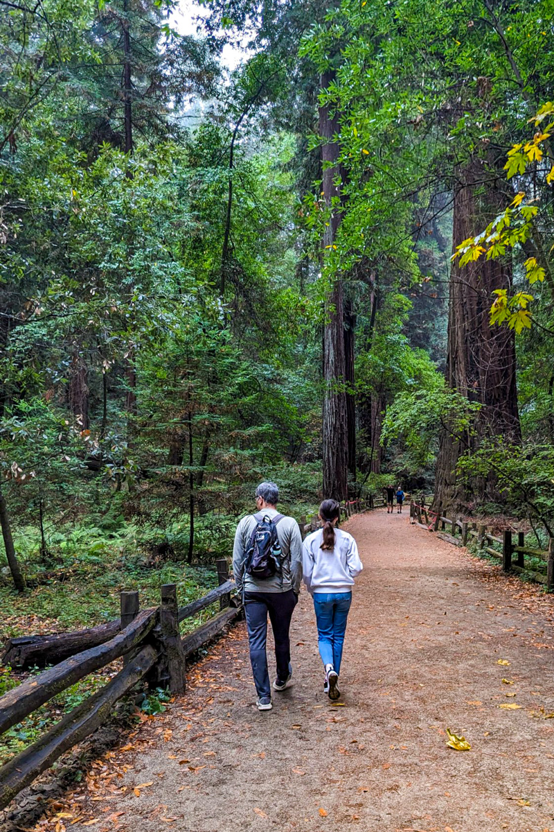 A man and a young girl walking on a path in a forest.