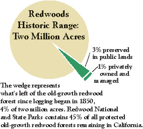 A pie chart with mostly yellow to with small green wedges to show how little of the original old-growth redwood forest remains.